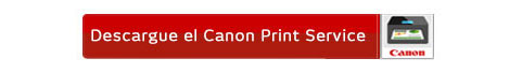 Download the Canon Print Plugin